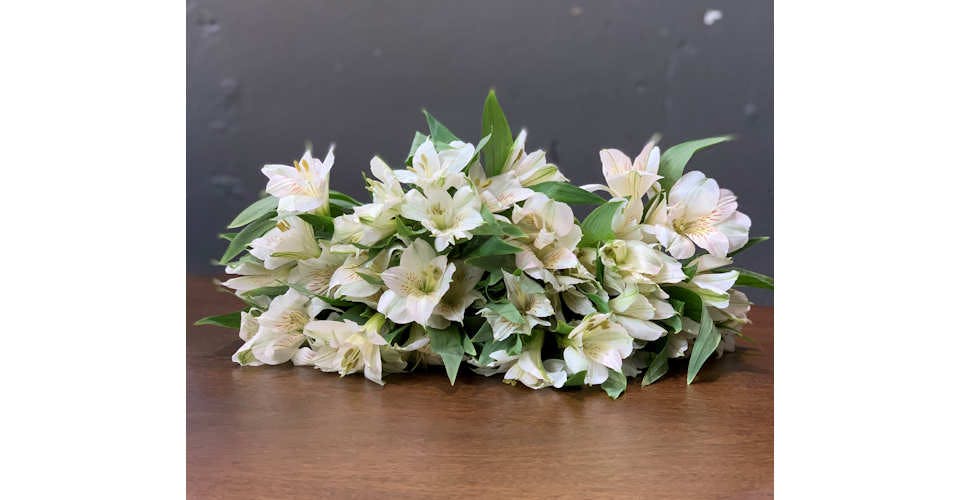 Alstroemeria White, 10 Stems from Red Square Flowers in Madison, WI