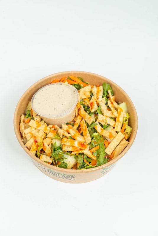 THAI CAESAR from Salad House - E Pallisade Ave in Englewood, NJ