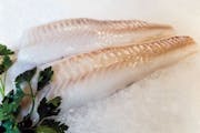 Wild Caught Whiting from Bailey Seafood in Buffalo, NY