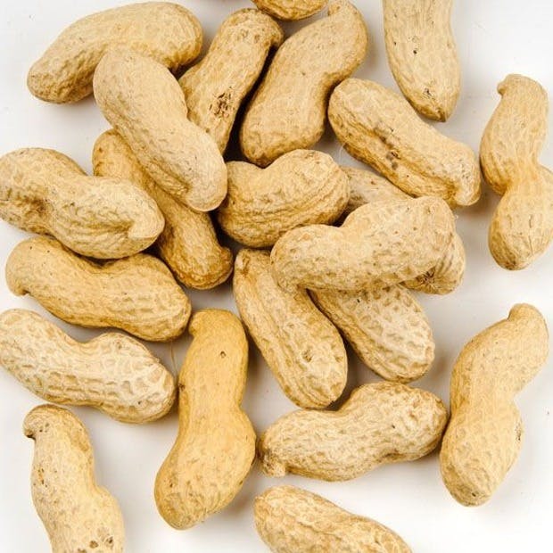 Free Bag of Peanuts from Parker John's BBQ & Pizza - Green Bay in Green Bay, WI