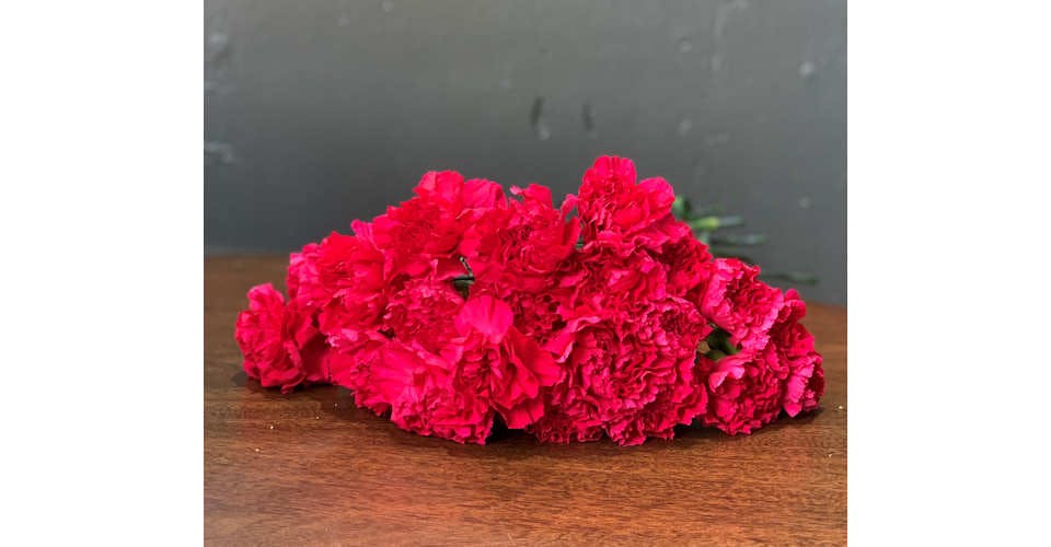 Hot Pink Carnations from Red Square Flowers in Madison, WI