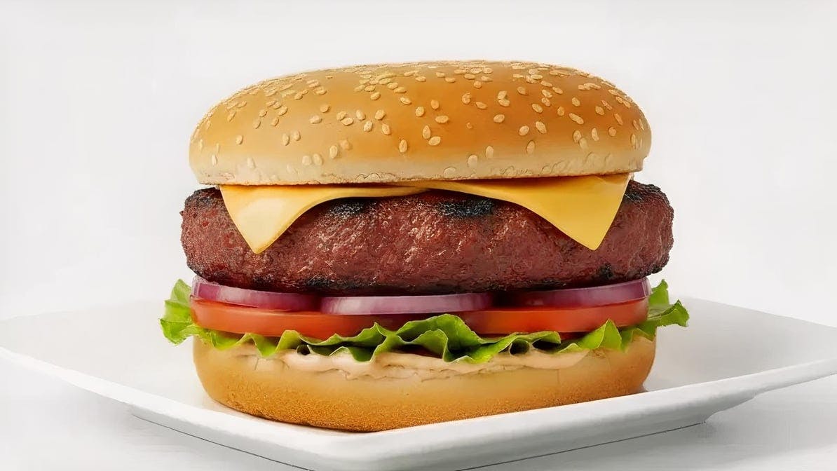 Impossible Burger from HalalFlame - N Broad St in Meriden, CT