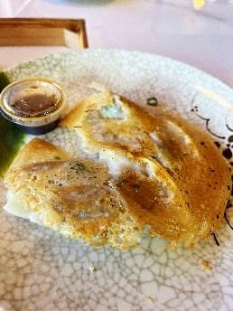Pork Dumpling from Dumpling House in Oshkosh, WI