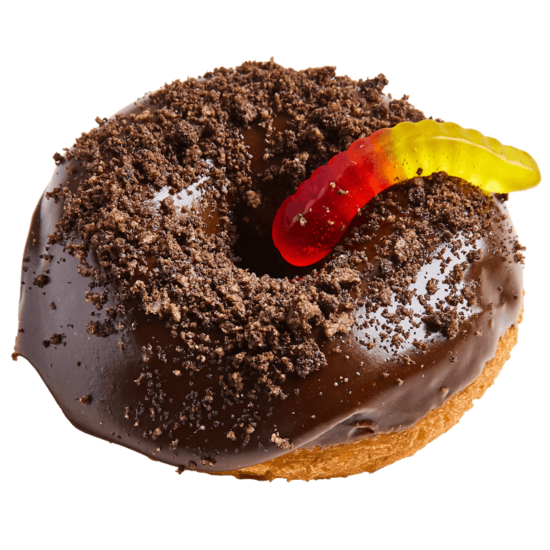 Dirt & Worms from Duck Donuts Madison in Madison, WI