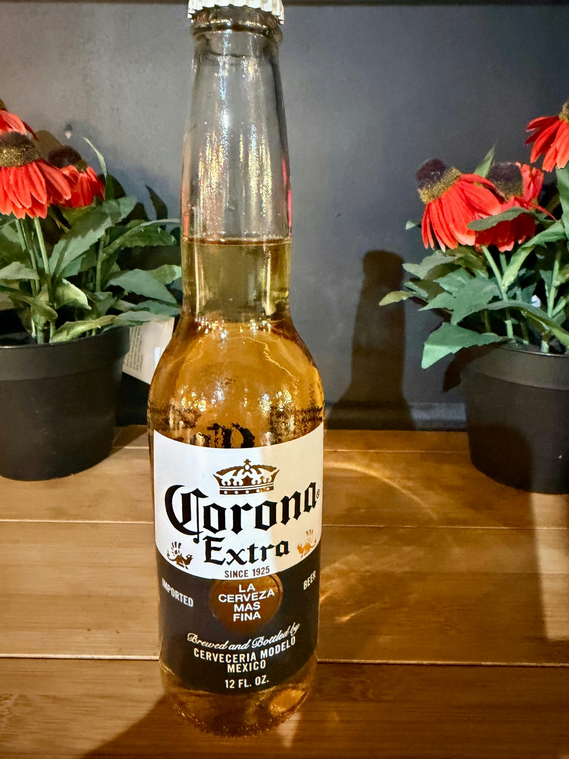 CORONA from Justveggiez in Madison, WI