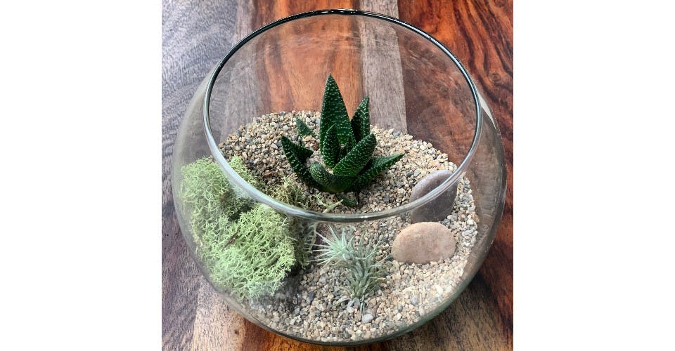 Zen Garden Bowl from Red Square Flowers in Madison, WI