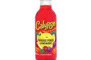 Caly-Punch Lemon from C'est Bon Caribbean Creole Cuisine in Baytown, TX