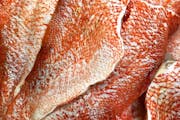 Wild Ocean Perch from Bailey Seafood in Buffalo, NY