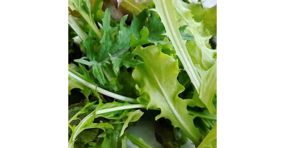 Salad Mix (5 oz Bag) from Vitruvian Farms in Madison, WI