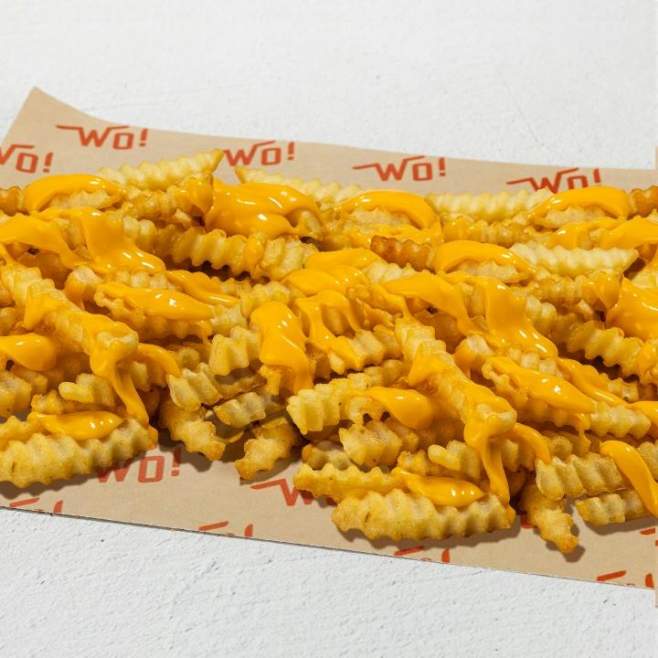 Cheese Fries (Large) from Wings Over Raleigh in Raleigh, NC