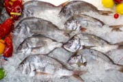 Wild Caught Porgie from Bailey Seafood in Buffalo, NY