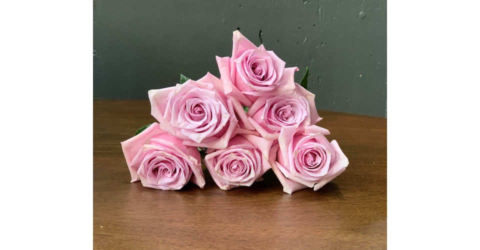 Light Pink Roses from Red Square Flowers in Madison, WI