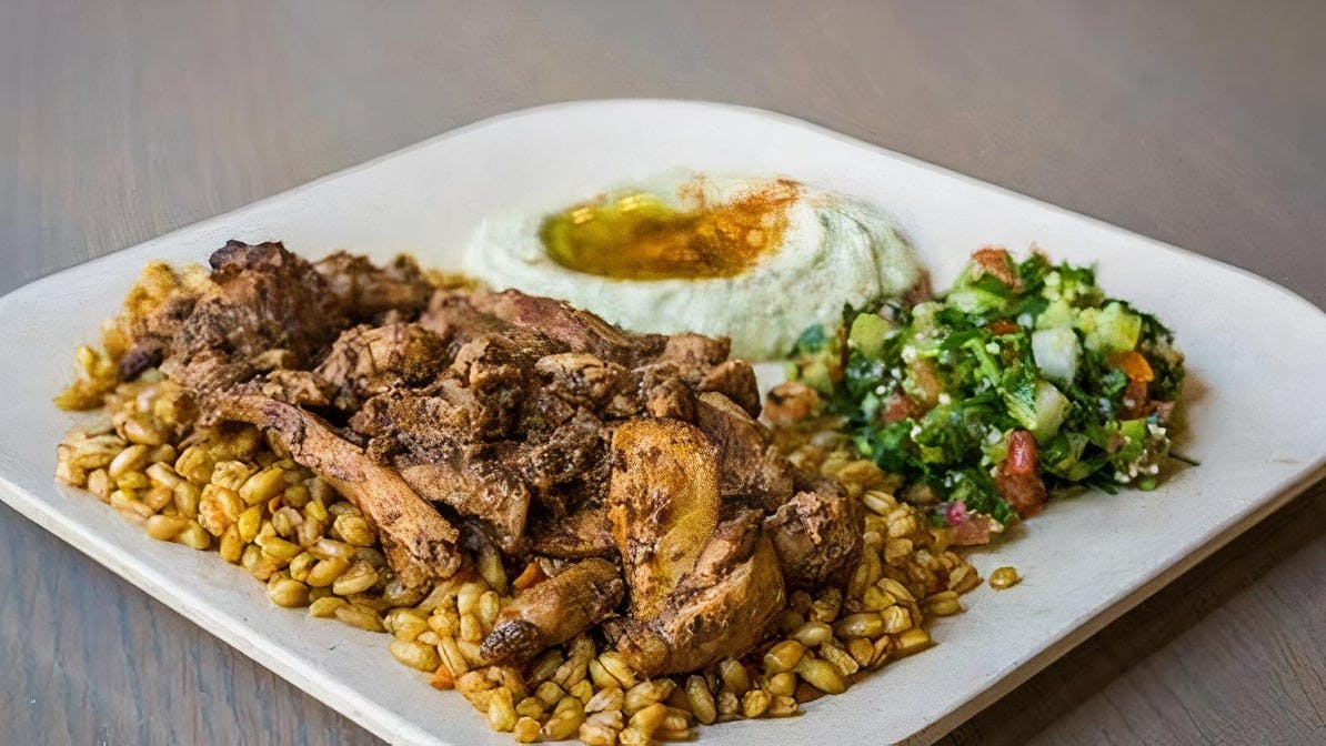 OMG Plate from Olive Mediterranean Grill in Chicago, IL