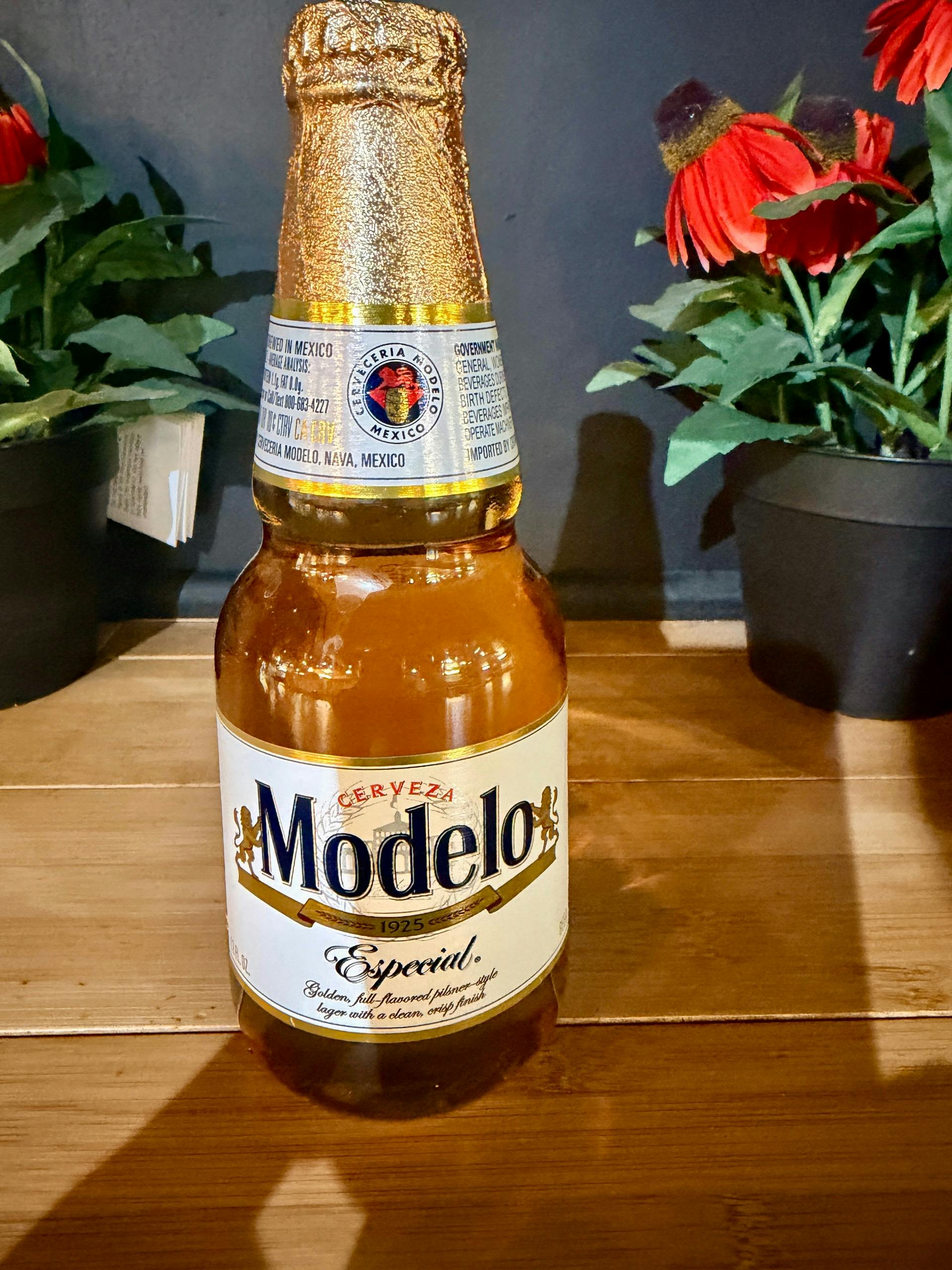 MODELO from Justveggiez in Madison, WI