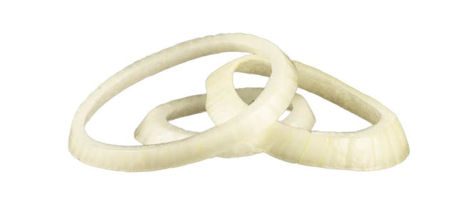 Extra Onions from Dickey's Barbecue Pit - Traverse Trail in Wildwood, FL