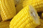 4 Pcs Corn Cobbette 3"*** from All American BBQ in West Hills, CA