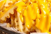 Cheese Fries from Mr. Spots in Ann Arbor, MI
