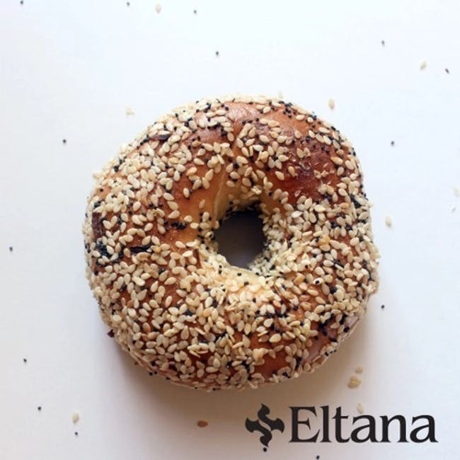 Everything Bagel from Eltana Wood-Fired Bagels - 12th Ave in Seattle, WA
