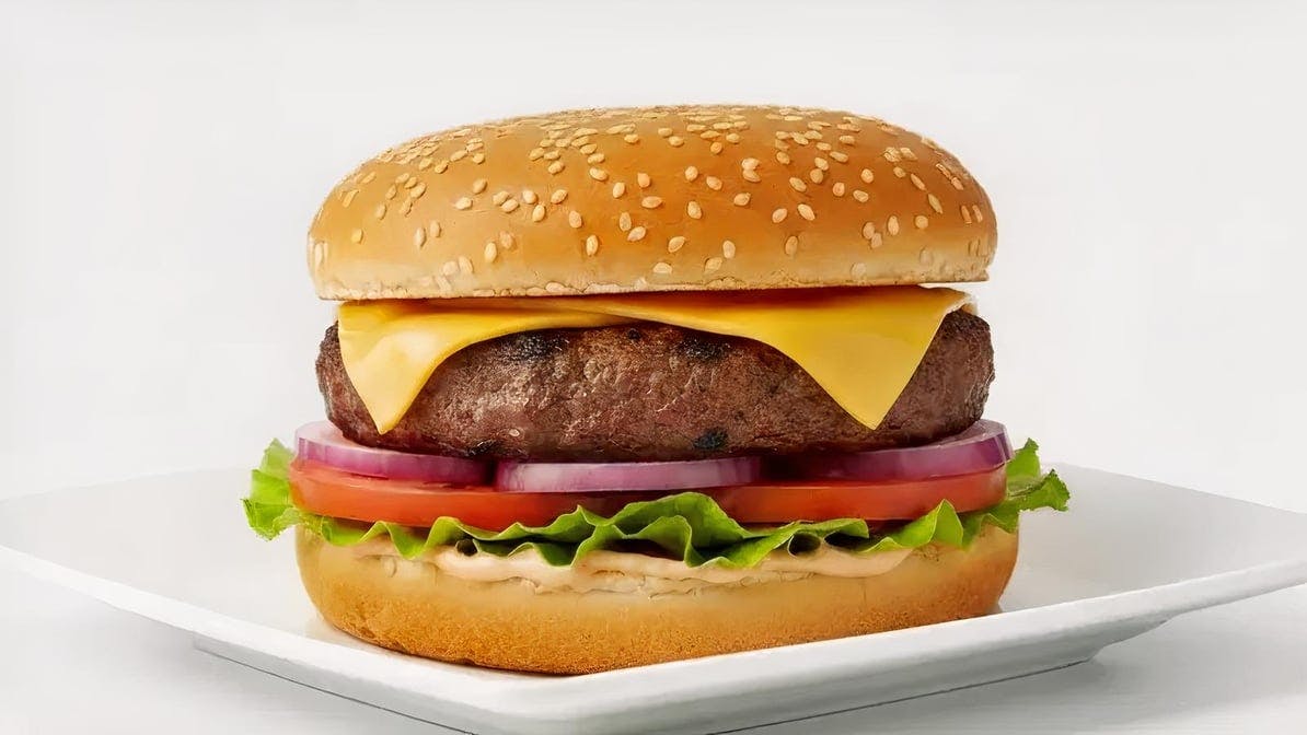 Cheeseburger from HalalFlame - N Broad St in Meriden, CT