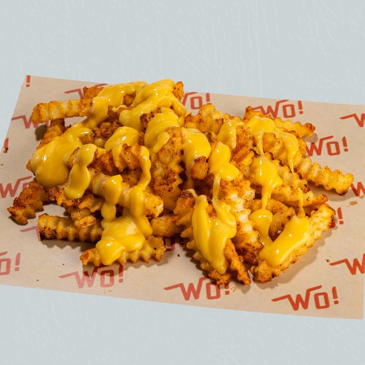 Cheese Fries from Wings Over Raleigh in Raleigh, NC