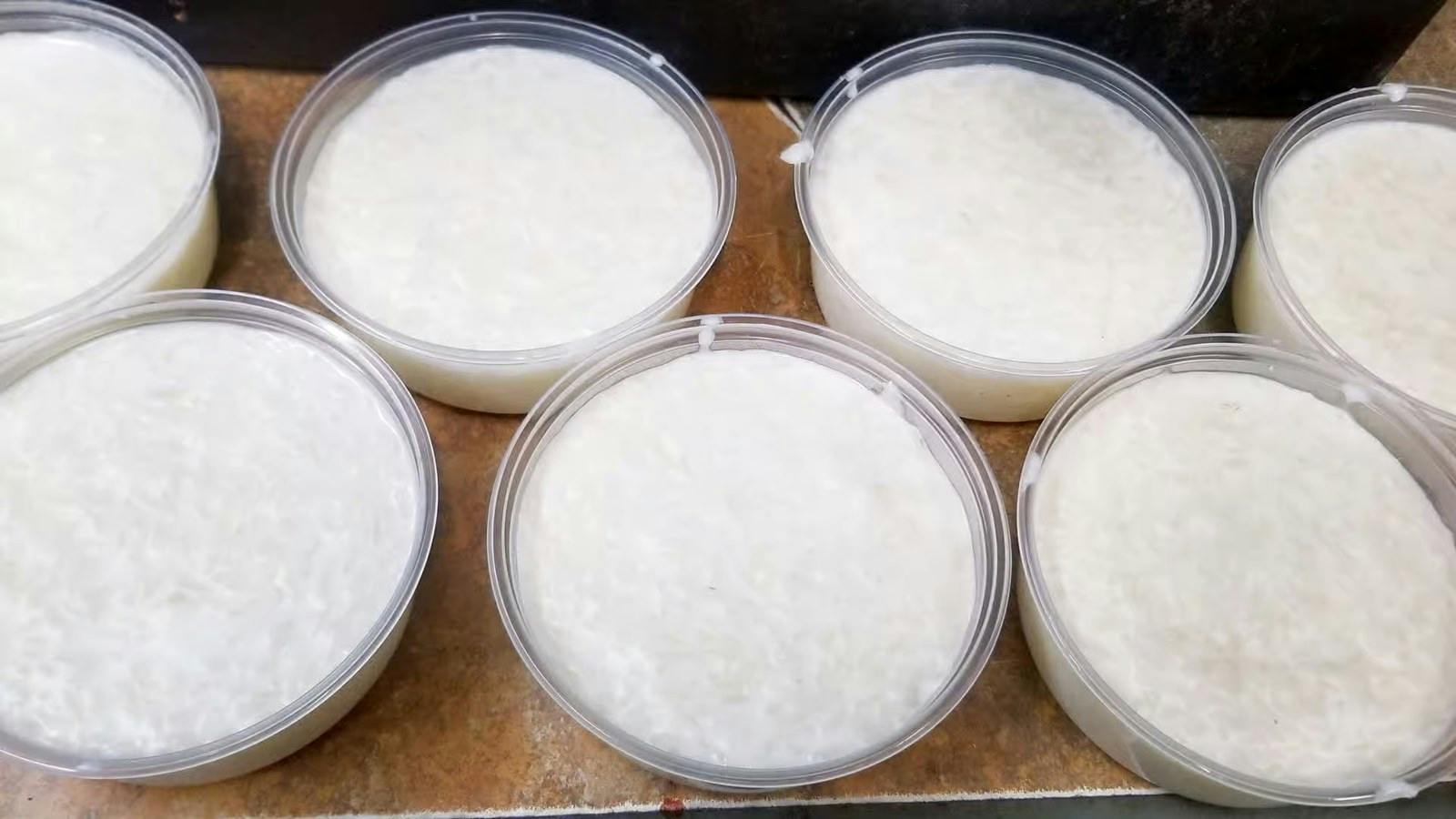 Rice Pudding from Sheeba Express in Detroit, MI