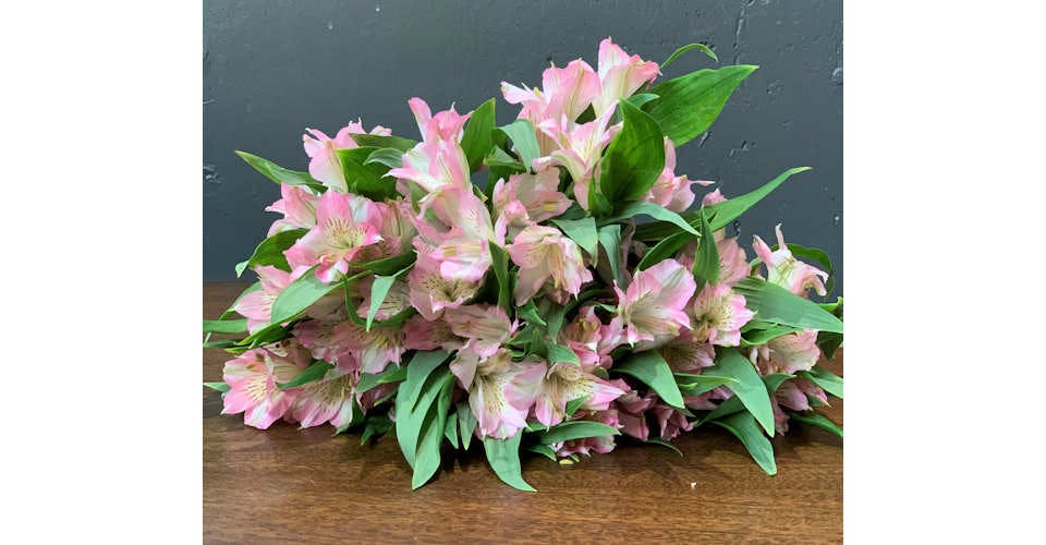 Alstroemeria Light Pink, 10 Stems from Red Square Flowers in Madison, WI