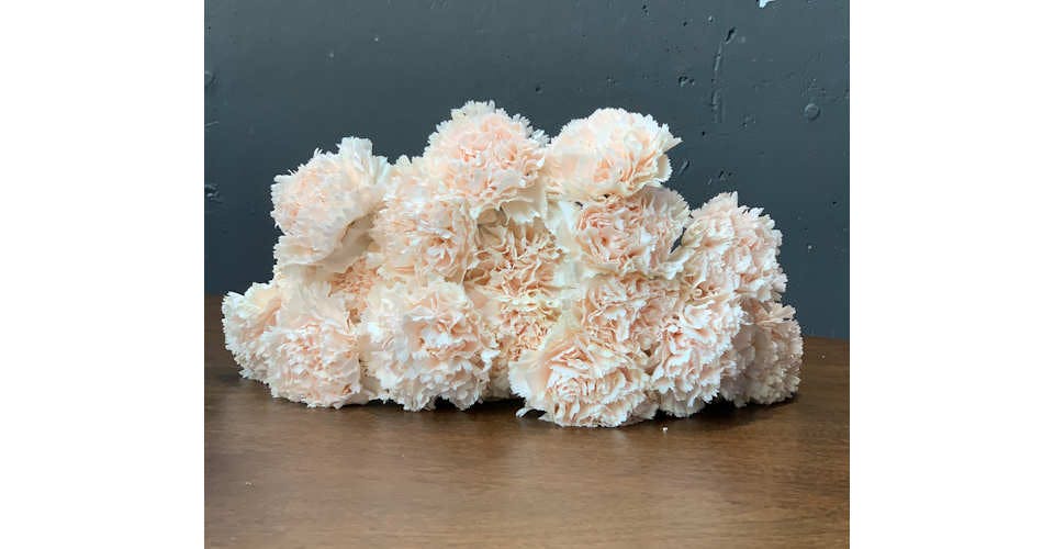 Champagne Carnations from Red Square Flowers in Madison, WI