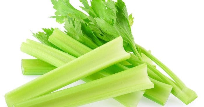 Celery from Jo Jo's New York Style Pizza in Hollywood, FL