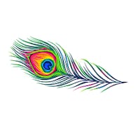 Spice of India in Binghamton, NY 13905