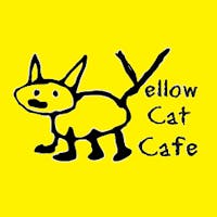 Yellow Cat Cafe in South Bend, IN 46617