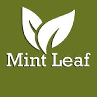 Mint Leaf Indian Cuisine in Smyrna, GA 30080