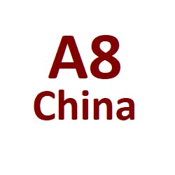 Logo for 99 China