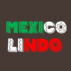 Mexico Lindo menu in Green Bay, WI 54313